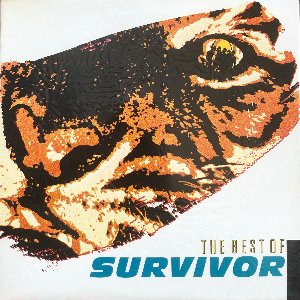 Survivor - Best Of Survivor (미개봉)