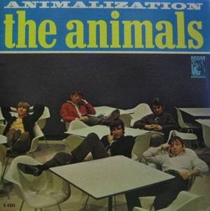 ANIMALS - Animalization