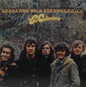 COLLECTORS - Grass And Wild Strawberries